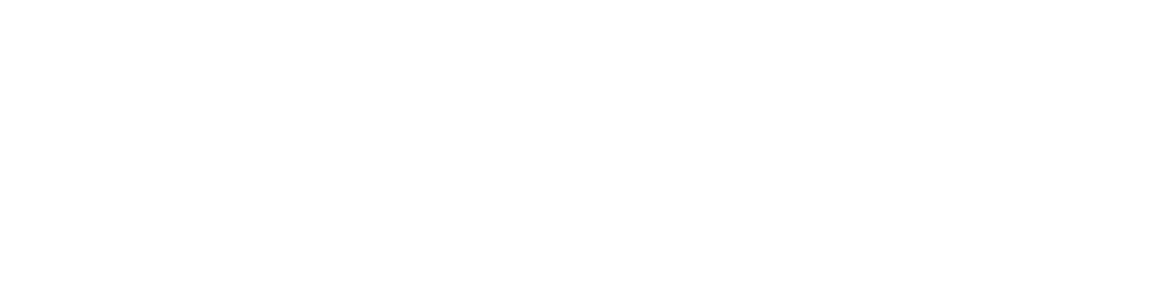 Neurosmack Learning Platform logo